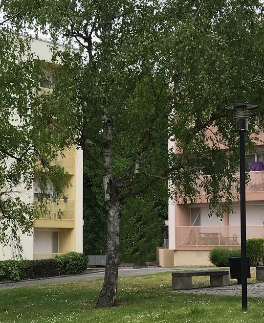 Planchette 272 logements | Saint-Brice-Sous-Forêt