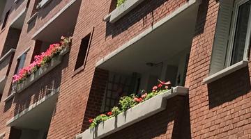 Emile Eudes 125 logements | Alfortville
