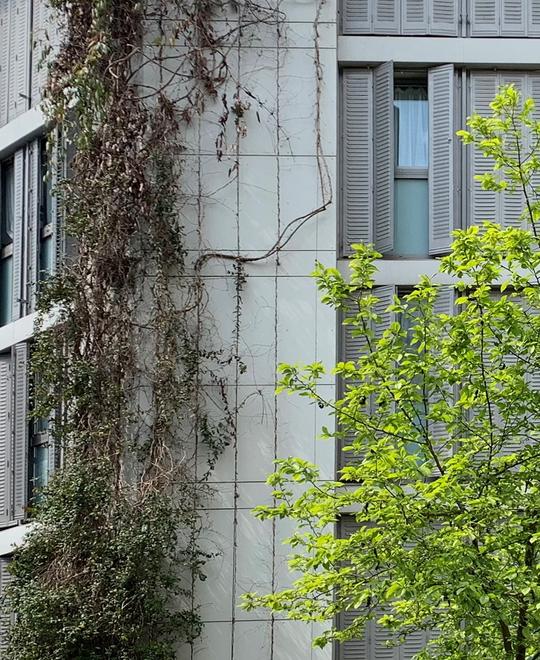 Sedaine 32 logements étudiants et espace musique | Paris