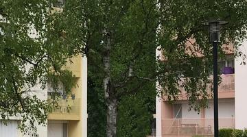 Planchette 272 logements | Saint-Brice-Sous-Forêt